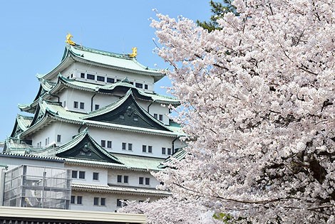 Замок в Нагоя - достопримечательности Японии